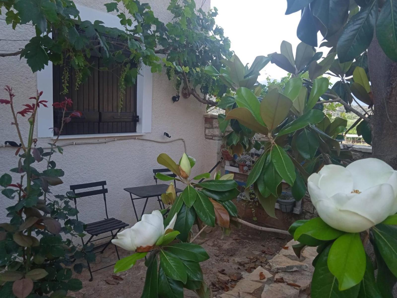 Míloi Pontinos Old House 빌라 외부 사진